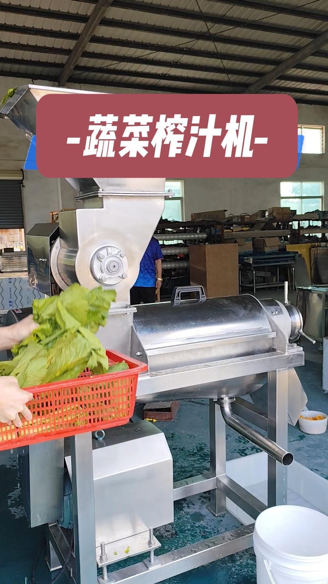 工业用大型蔬菜榨汁机