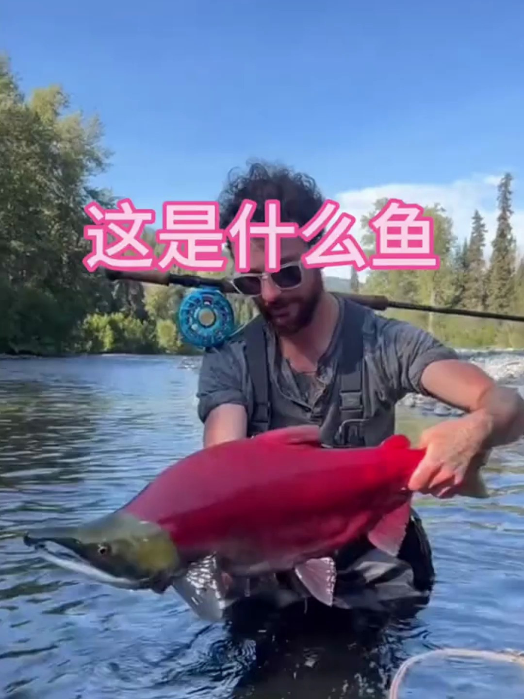 这鱼除了头和尾巴,浑身都是通红的,这是什么鱼