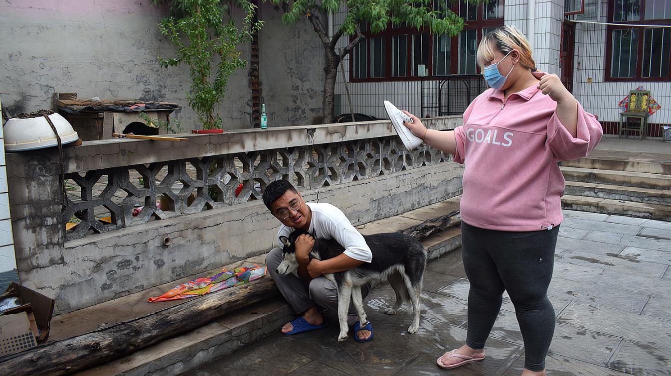 [图]媳妇逼迫他卖狗，小吉回忆起这些年养狗的生活，二哈直呼太可怜了