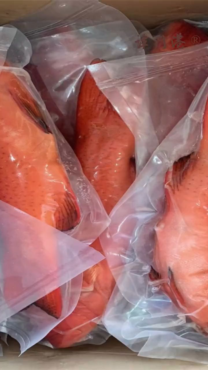 海南海产丰富,花胶,瑶柱,马鲛鱼,多宝鱼,灯光鱼等