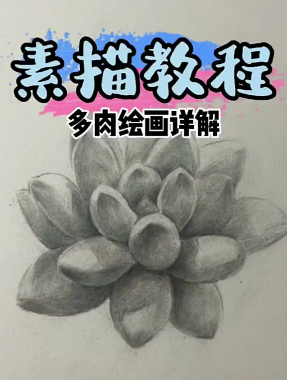 多肉植物你会画吗?