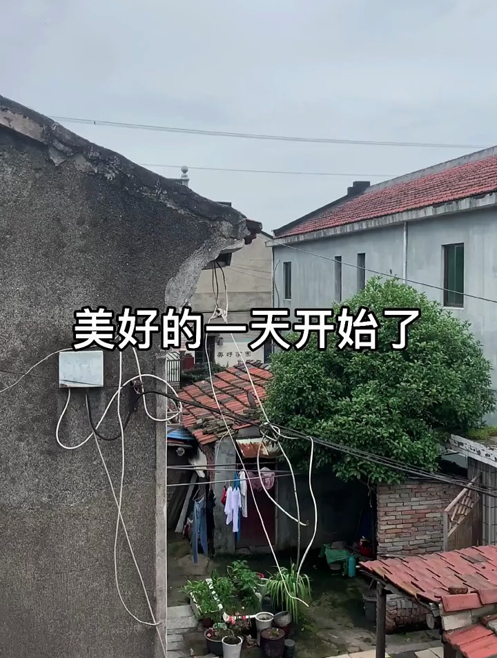 美好的一天开始了,给小鸡小鸭喂点饭
