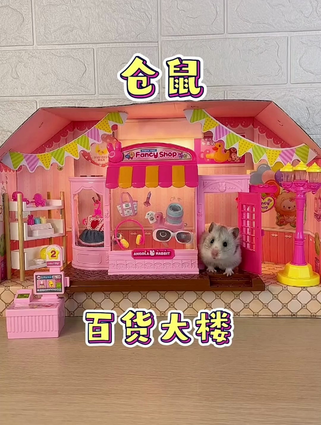 我的小仓鼠有百货大楼啦!小仓鼠第一次逛街好憨啊哈哈!