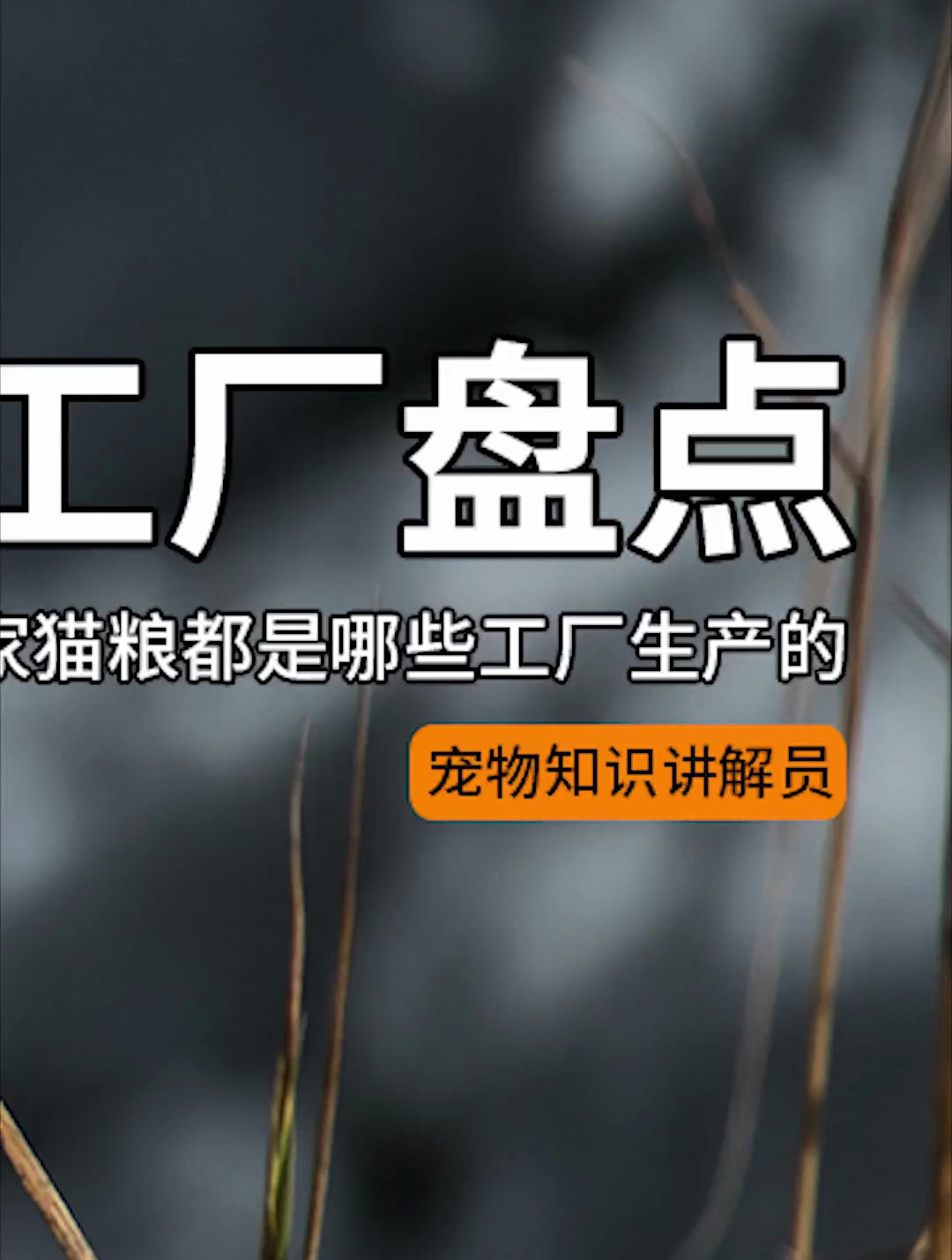 《国产猫粮工厂盘点》下 你家猫粮是哪个工厂生产的