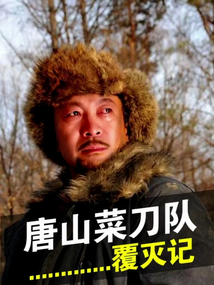 唐山菜刀队覆灭记