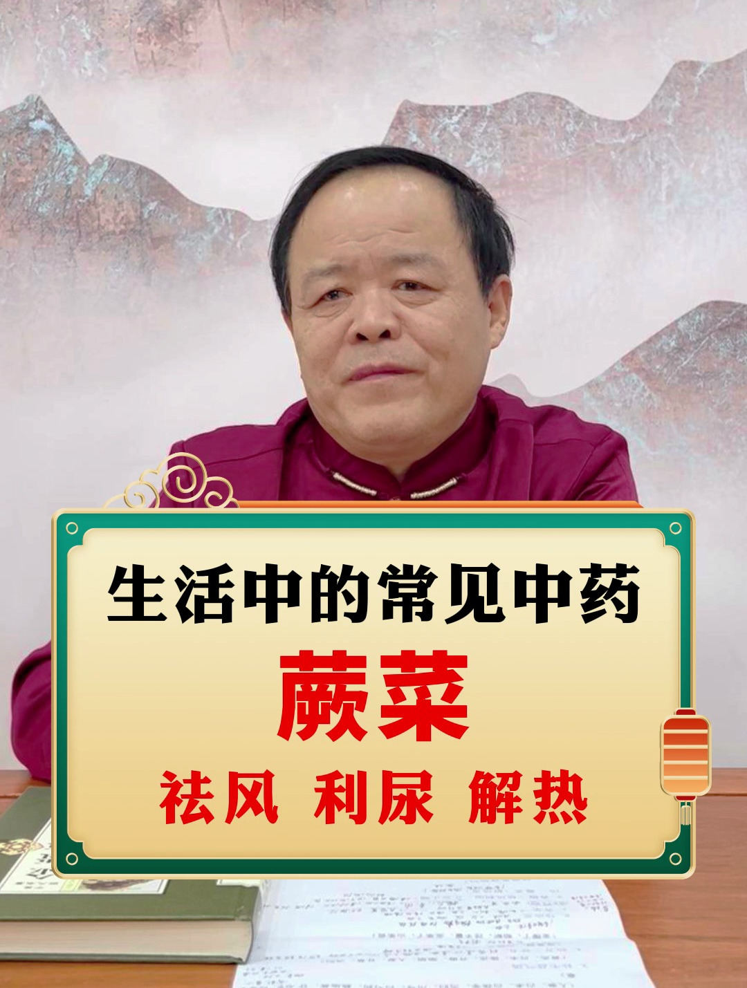 生活中常见中药-蕨菜