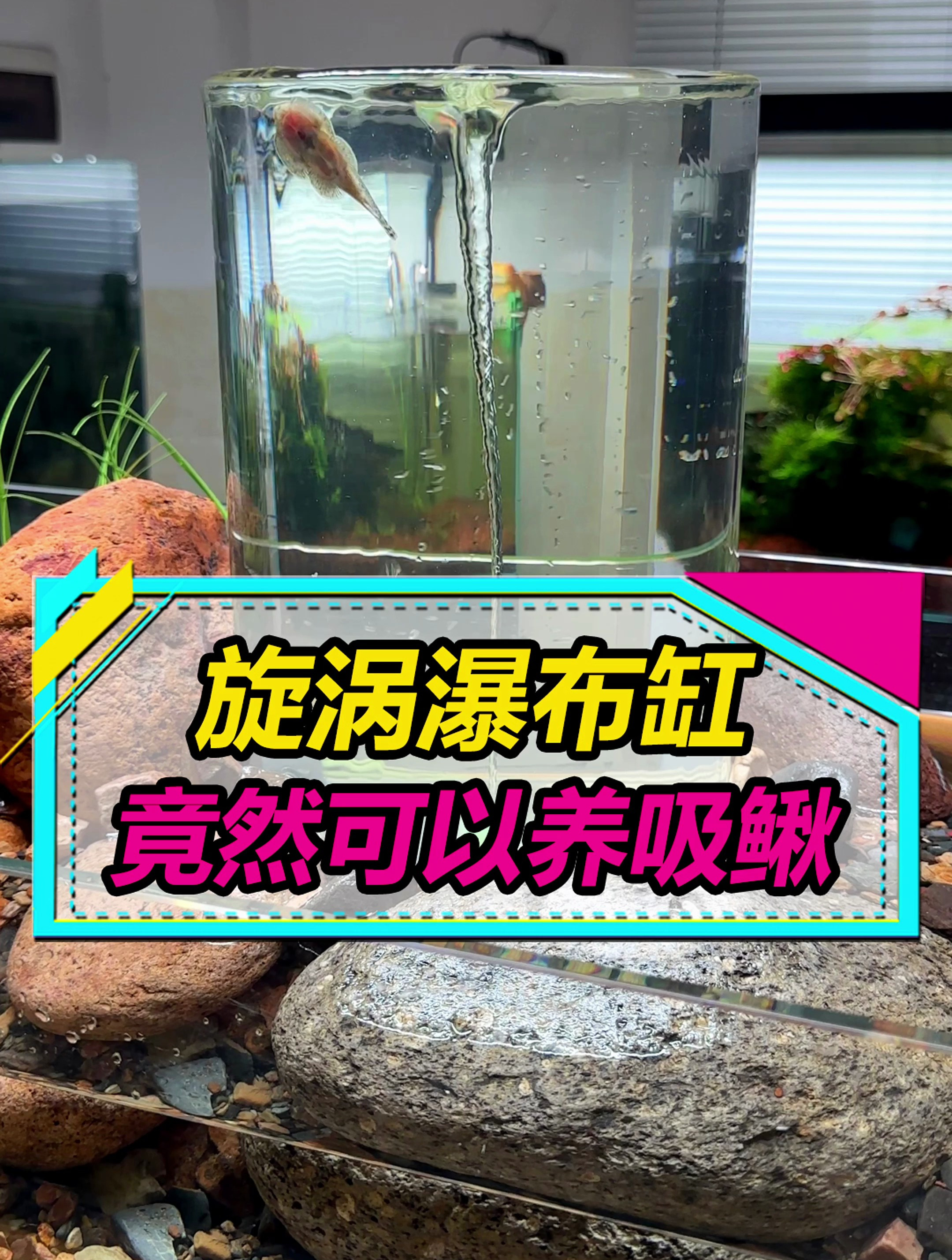 旋涡瀑布“鱼缸”,现在可以养鱼啦!