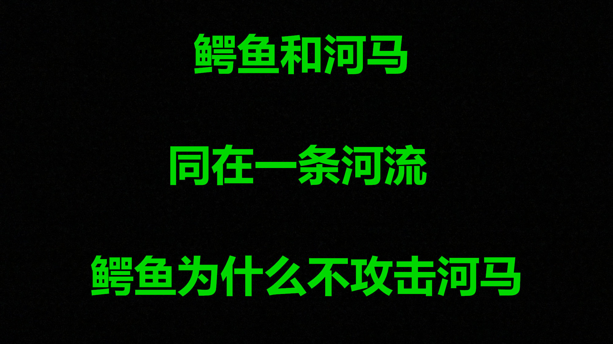 鳄鱼和河马经常在同一条河流,现在才知道为什么鳄鱼不攻击河马