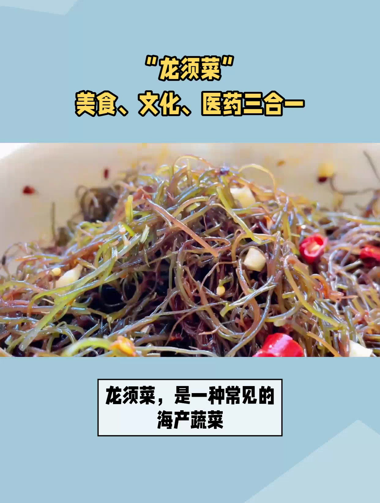 龙须菜是什么植物