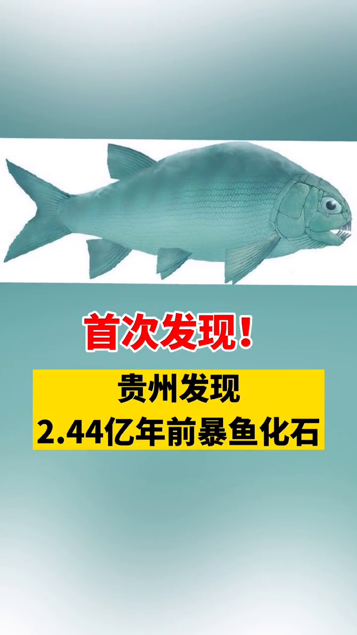 贵州发现2.44亿年前暴鱼化石