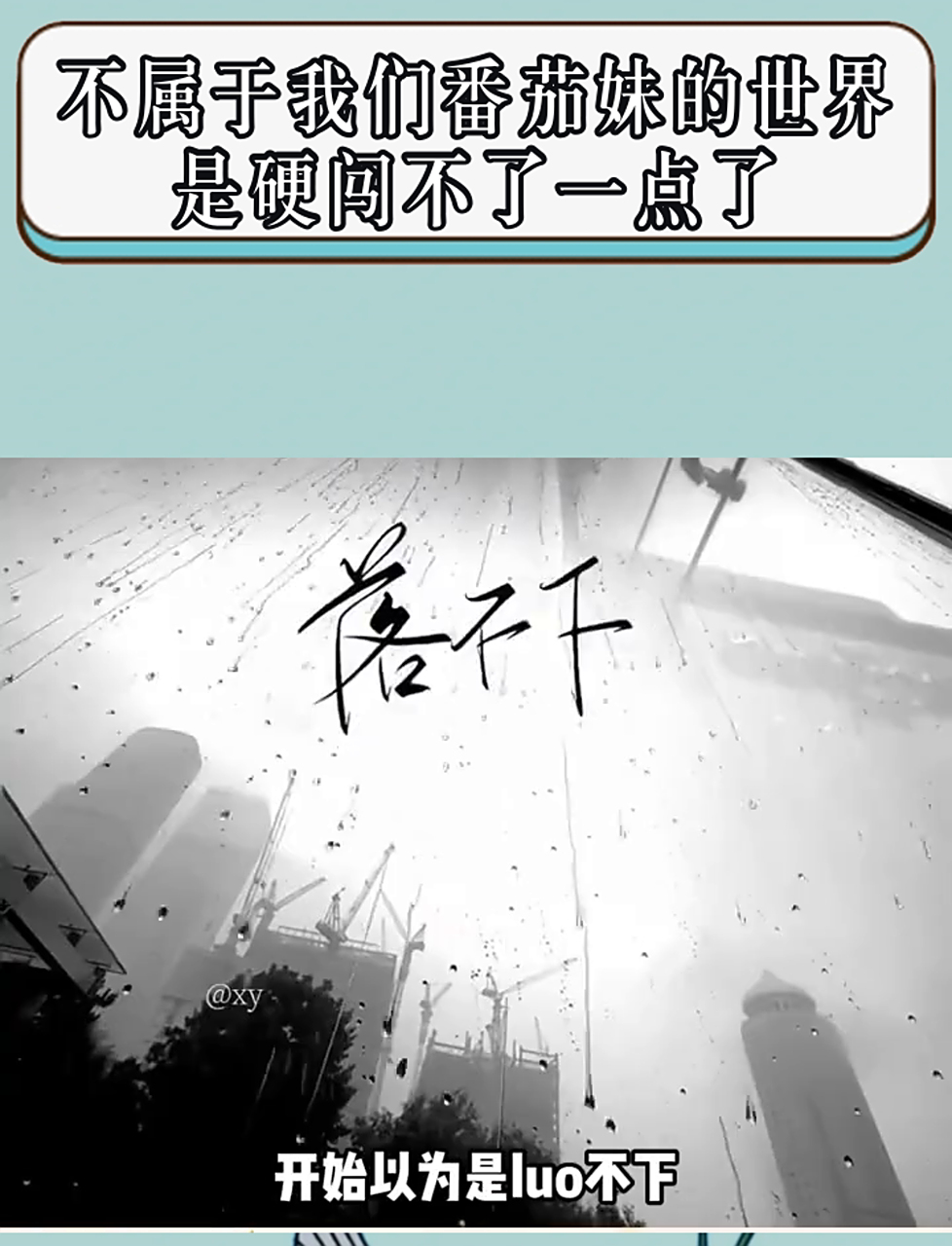 《伪装学渣》就是谢俞贺朝两个人伪装学渣,最后虐的只有我的成绩