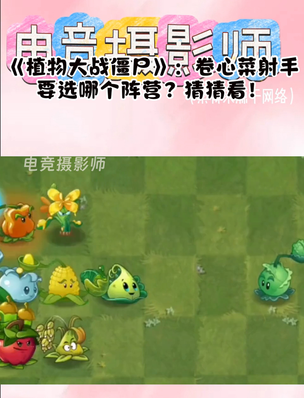 《植物大战僵尸》:卷心菜射手要选哪个阵营?猜猜看!