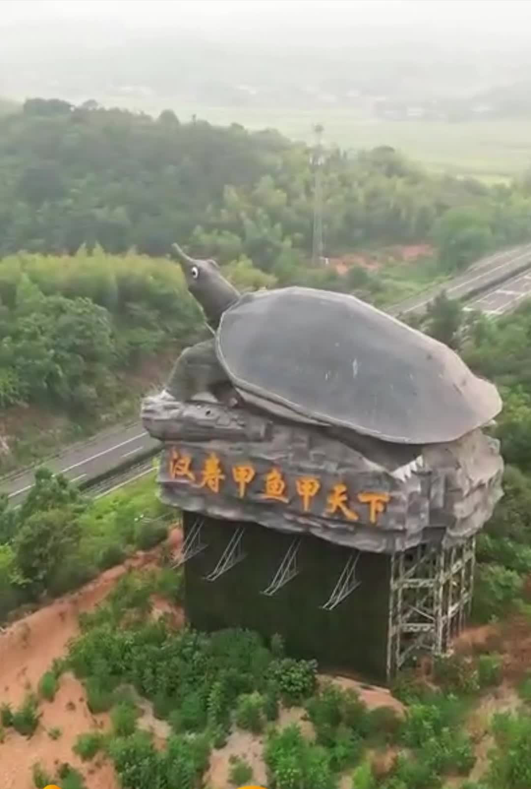 汉寿甲鱼甲天下,公甲鱼更有营养?