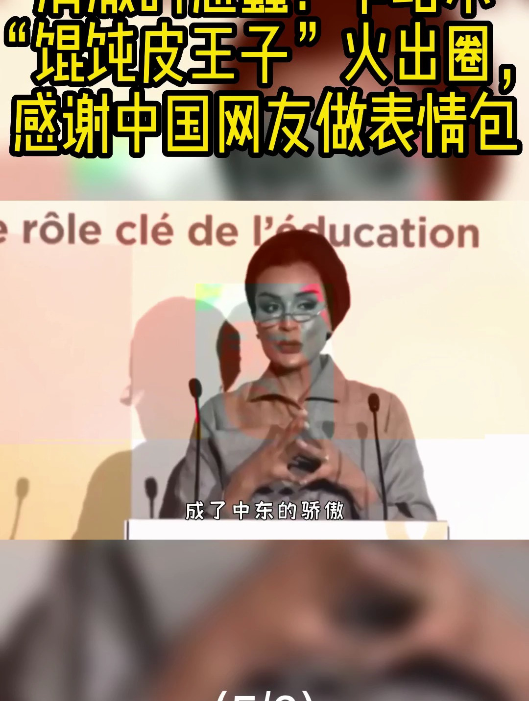 清澈的愚蠢!卡塔尔馄饨皮王子火出圈,感谢中国网友做表情包5