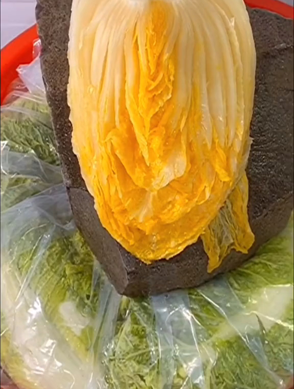 腌制东北酸菜不烂的小窍门