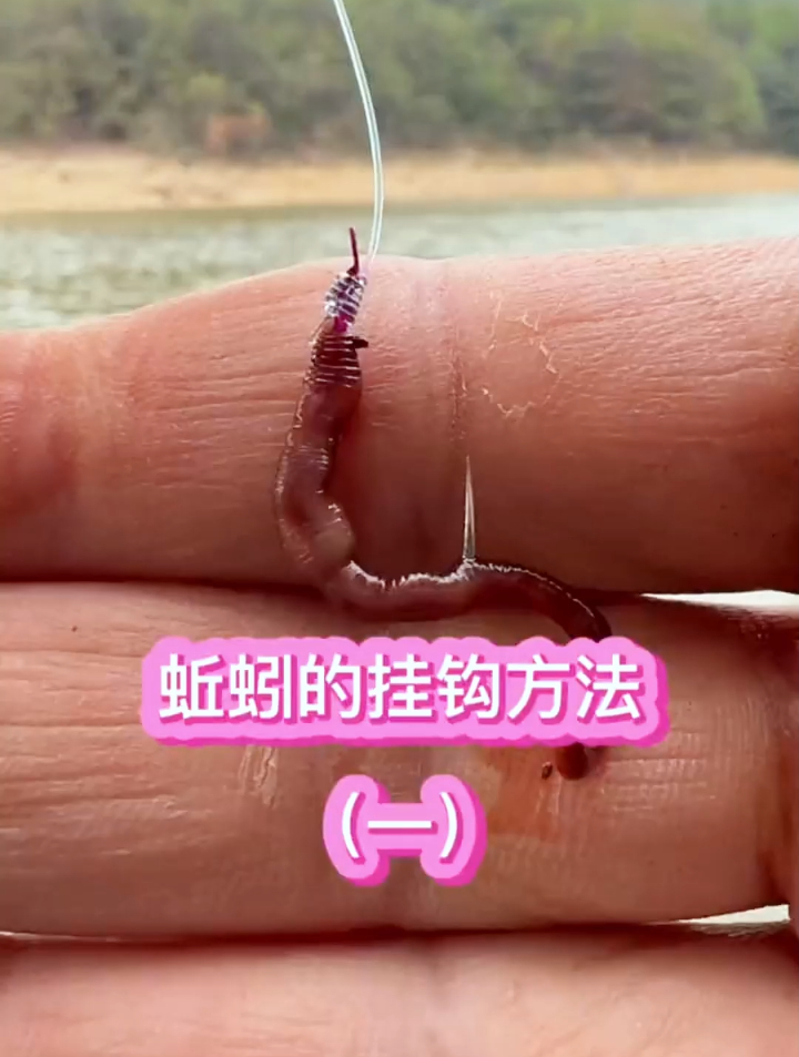 这样挂蚯蚓,你不爆护谁爆护(上)
