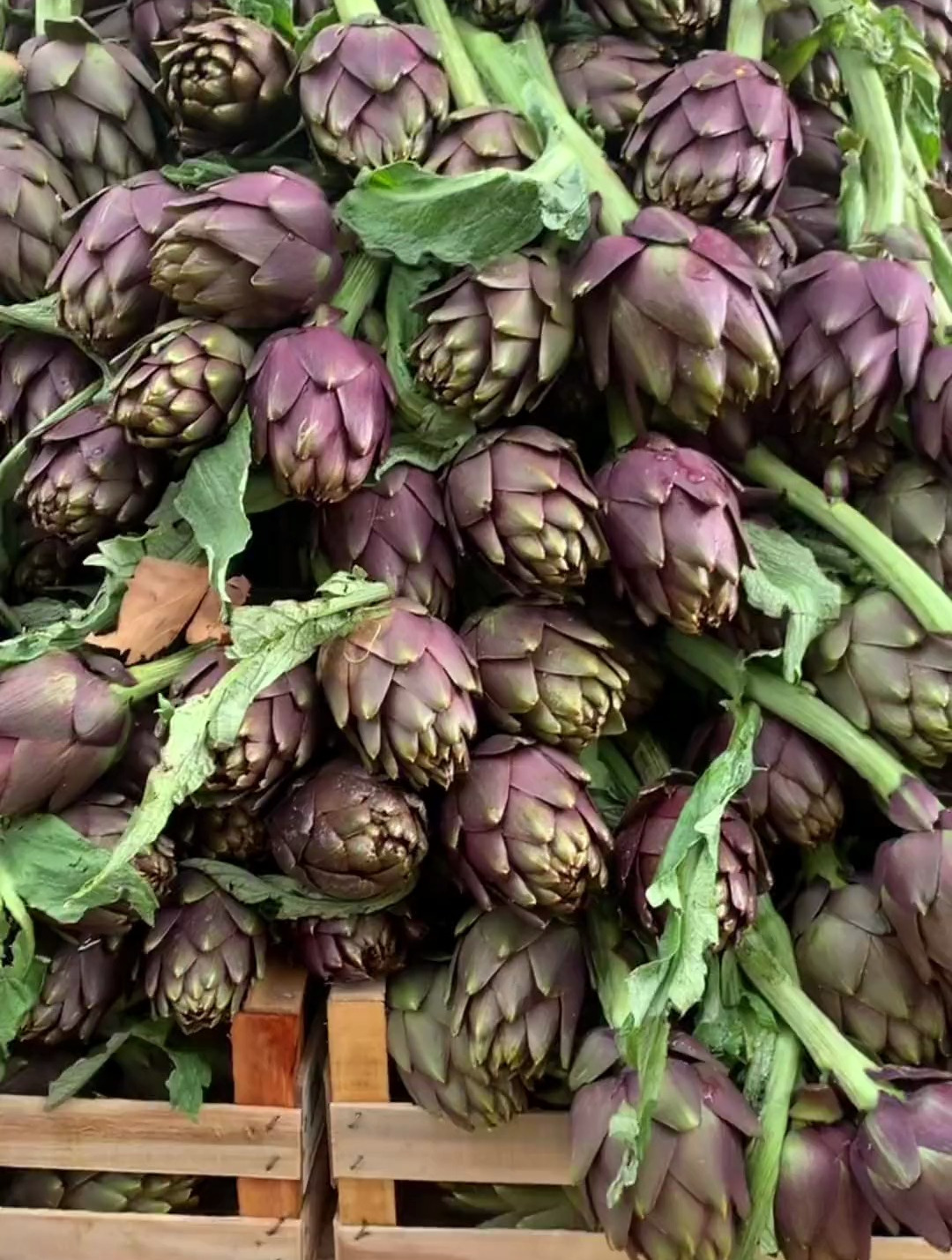 意大利特色蔬菜之意式洋蓟carciofi al vino rosso