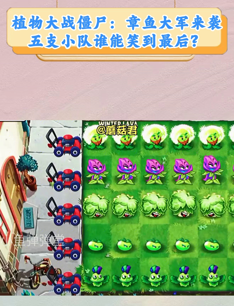 植物大战僵尸:章鱼大军来袭,五支小队谁能笑到最后?