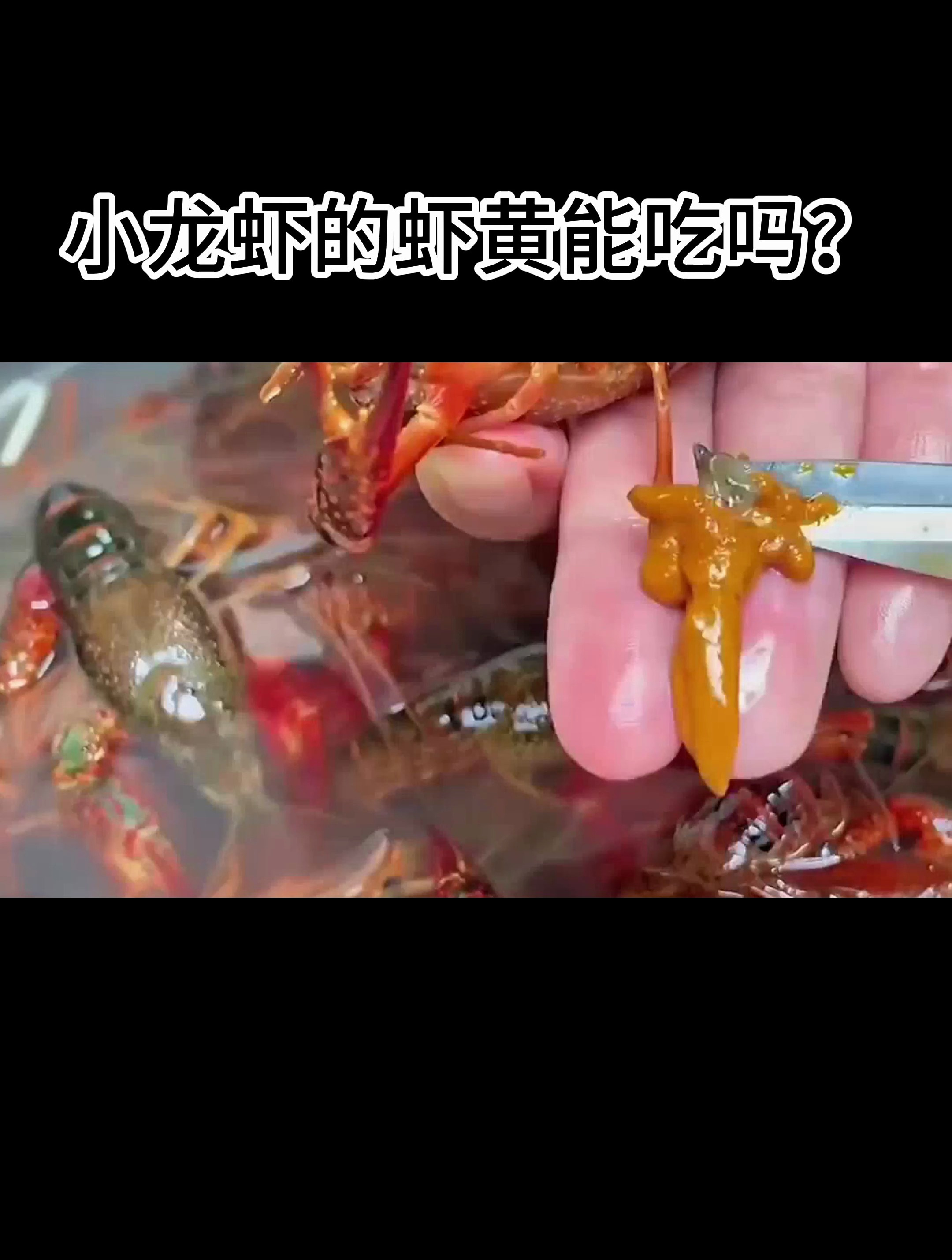 小龙虾的虾黄能吃吗?
