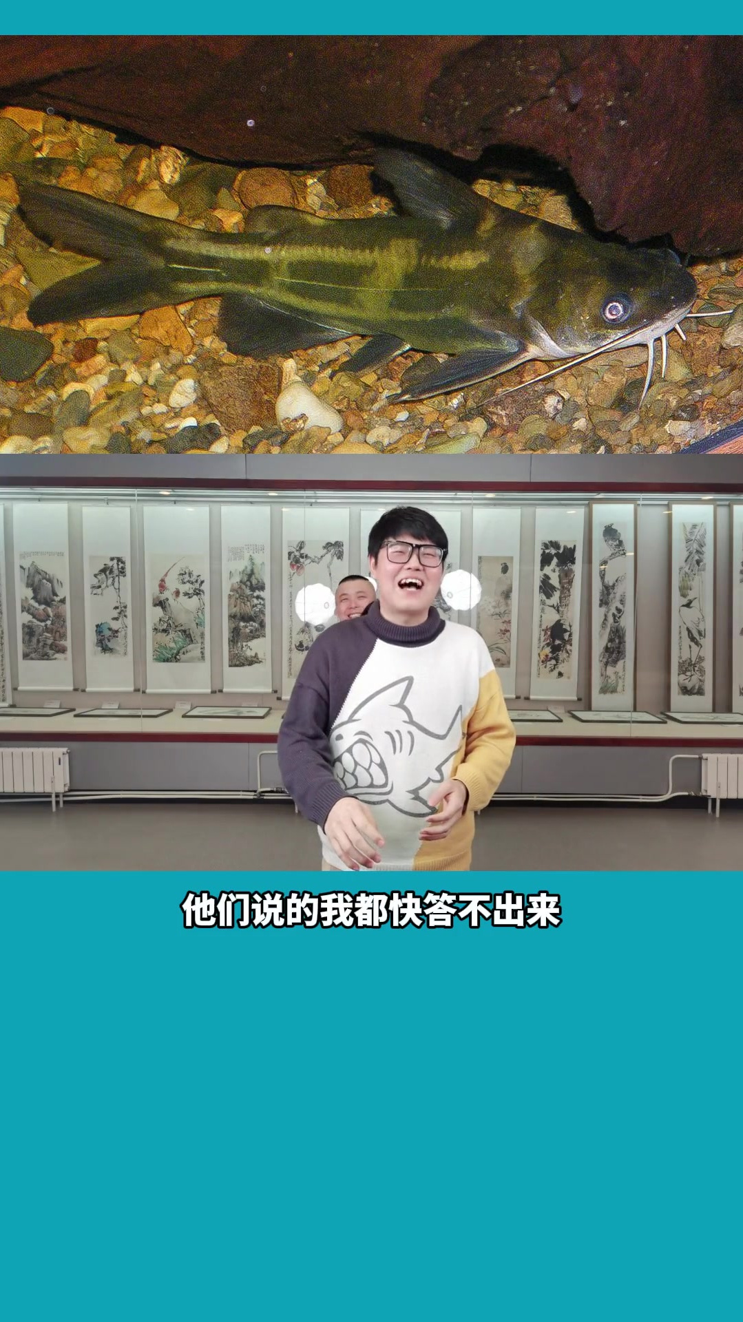 看图猜淡水鱼,你认识么?