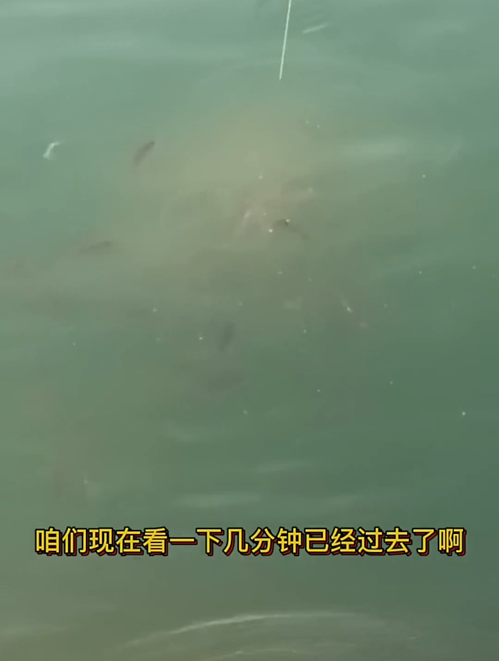 钓鱼带上霸王捆,简单多了