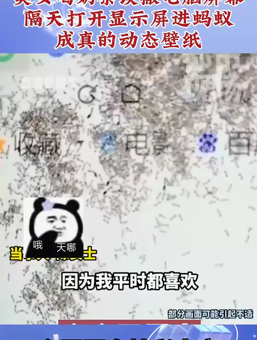 美女喝奶茶误撒电脑屏幕,隔天打开显示屏进蚂蚁,成真的动态壁纸