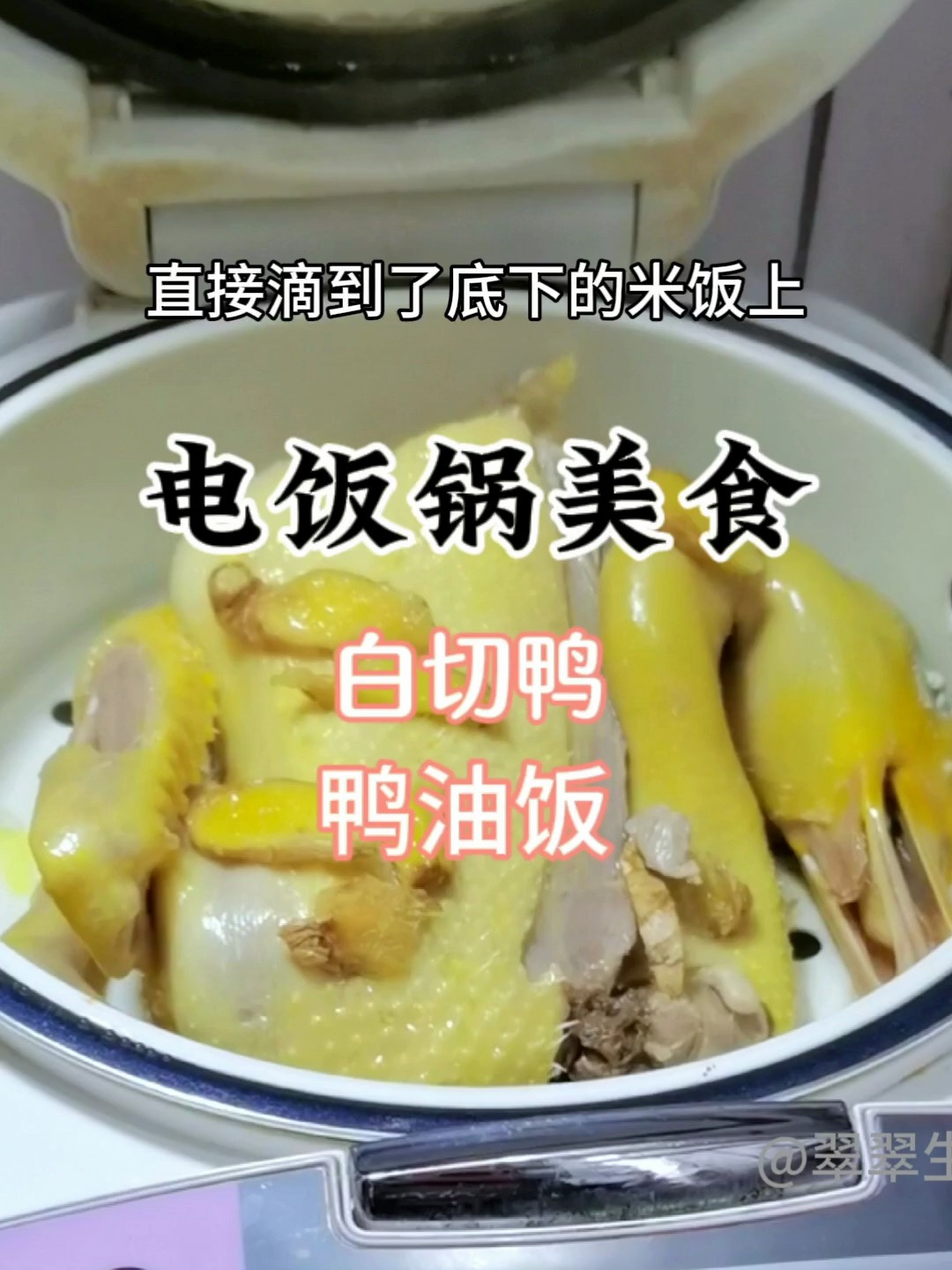 电饭锅做美食,这到底是什么神仙做法?一锅做出两道广东特色菜