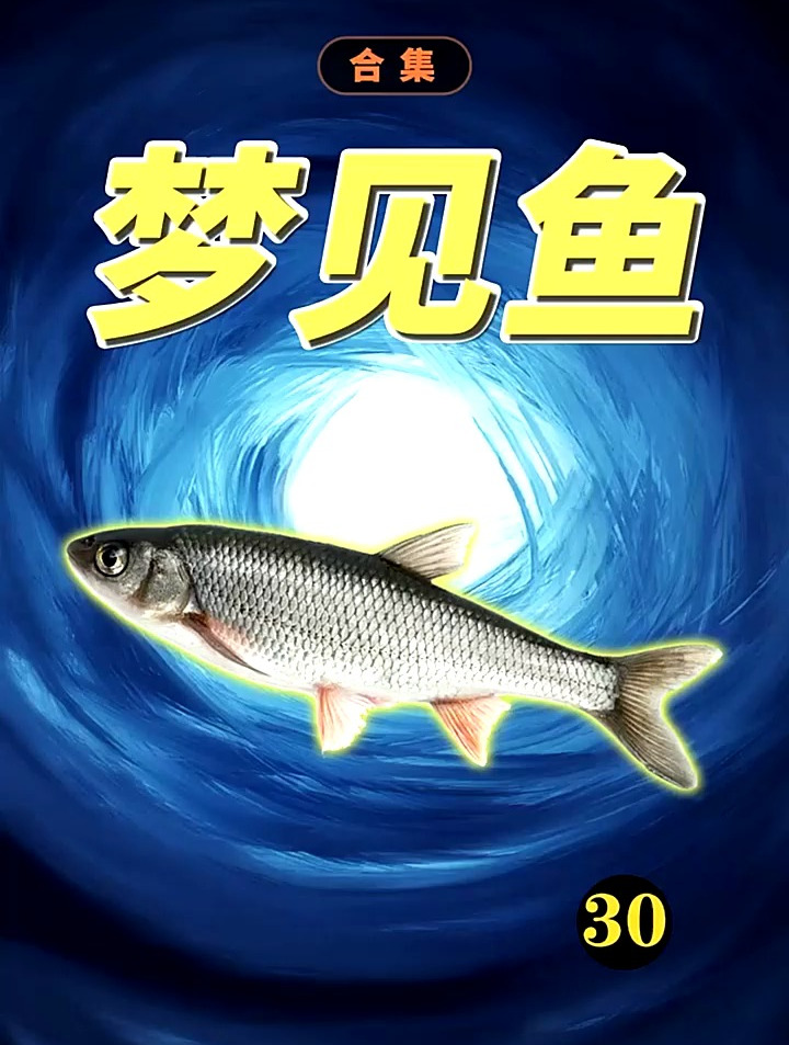 都说梦见鱼为富贵,实际上呢?鳄鱼鲸鱼?又是预示什么呢?