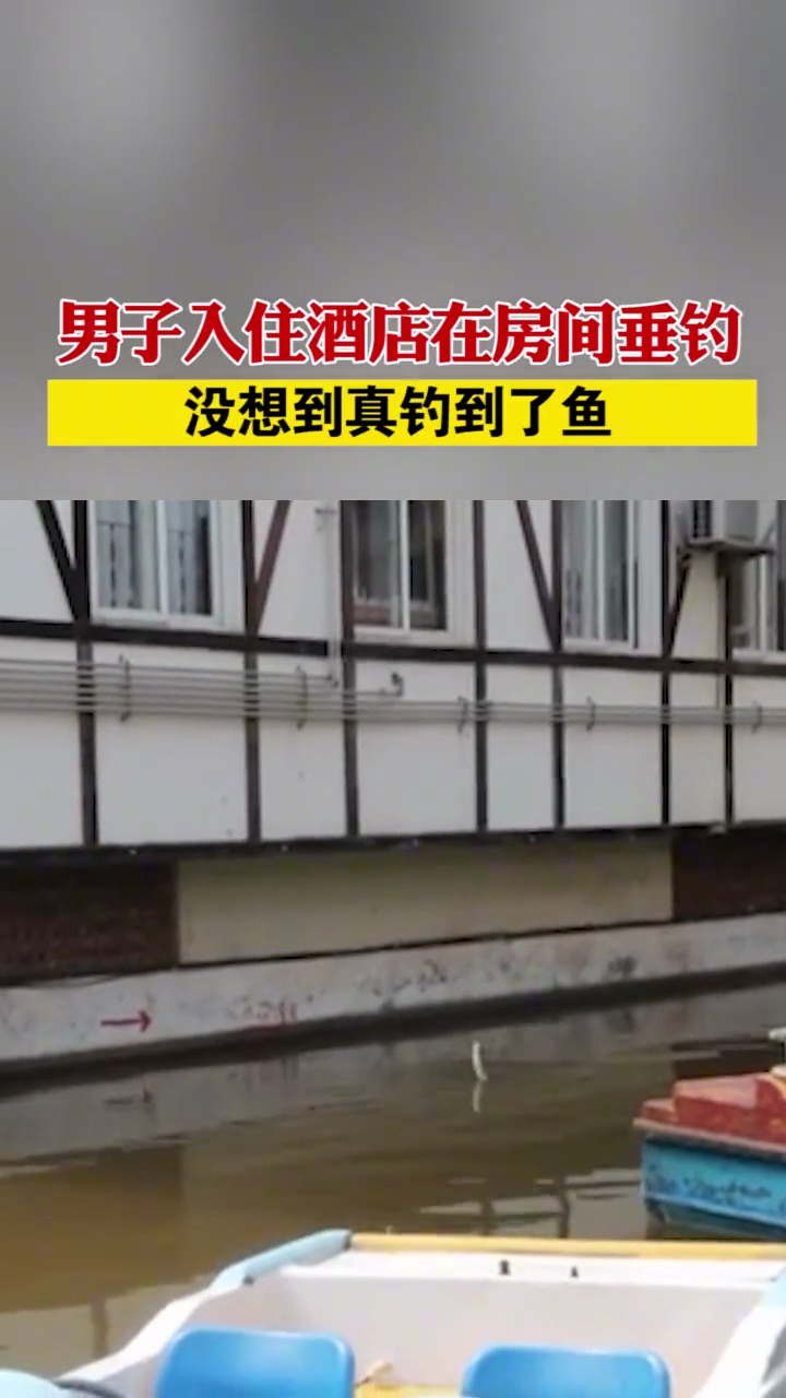 重庆男子入住酒店在房间垂钓,没想到真钓到了鱼