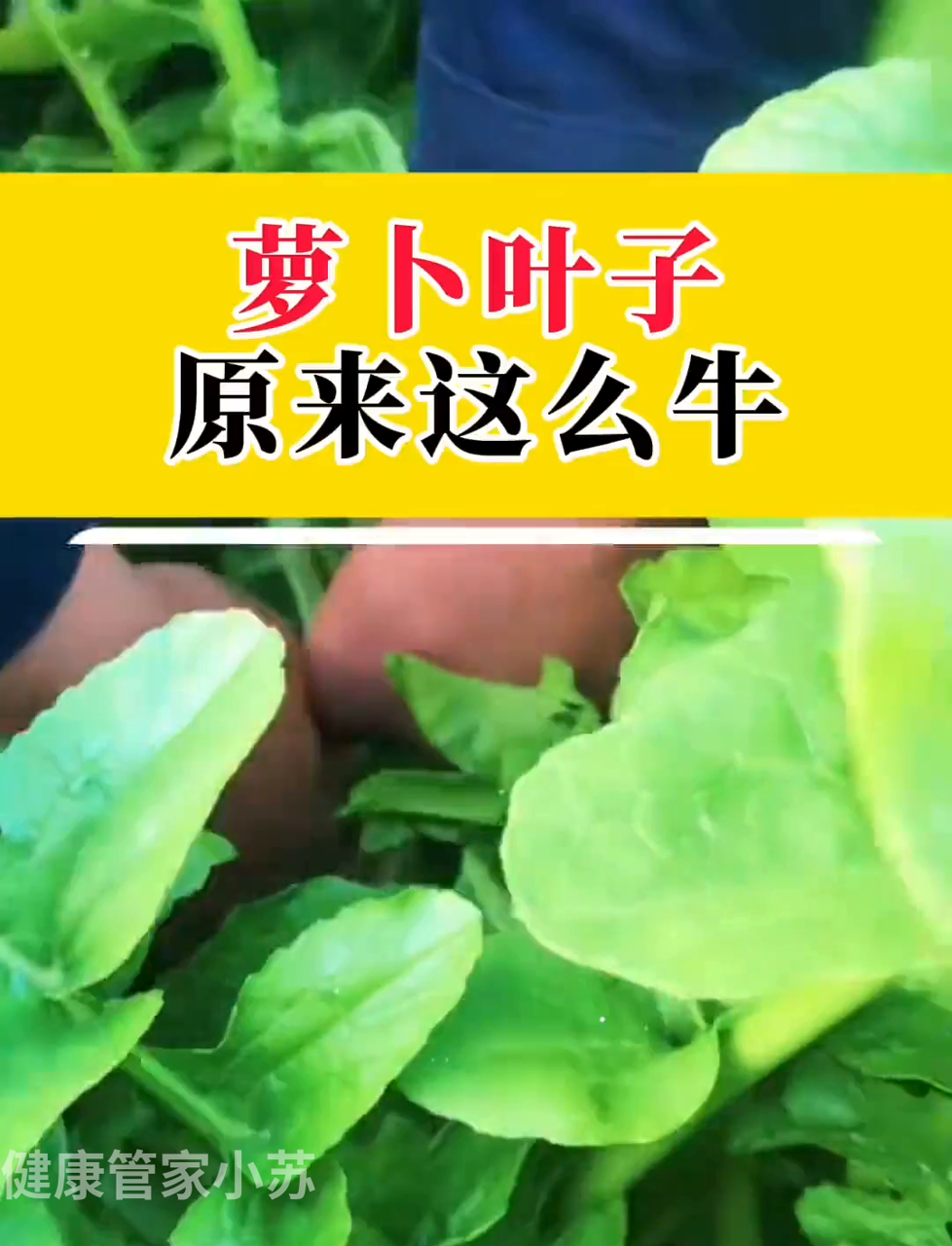 原来萝卜缨子这么厉害!