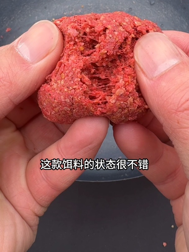 听说能让鱼儿快速抢食的化氏一味新品饵料,真实效果到底如何?
