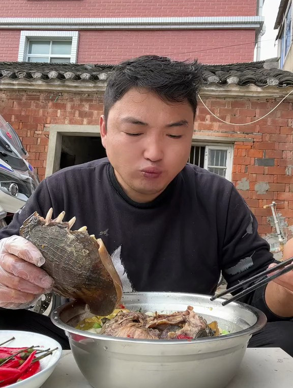 养殖可食用甲鱼,不是野生动物,食物都已吃完,请勿模仿