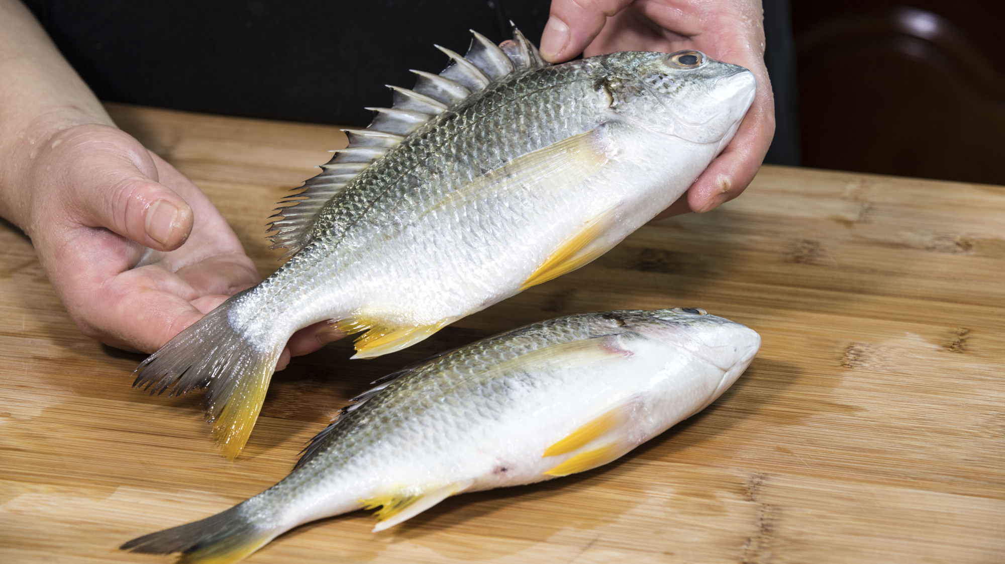 清蒸铜盆鱼经典海鲜做法,好食材无需点缀原汁原味即是美味
