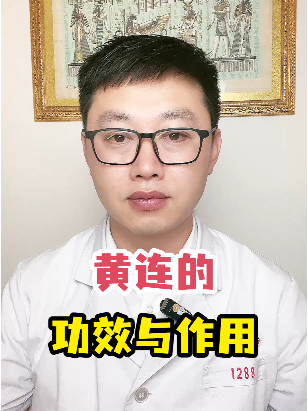 黄连的功效与作用