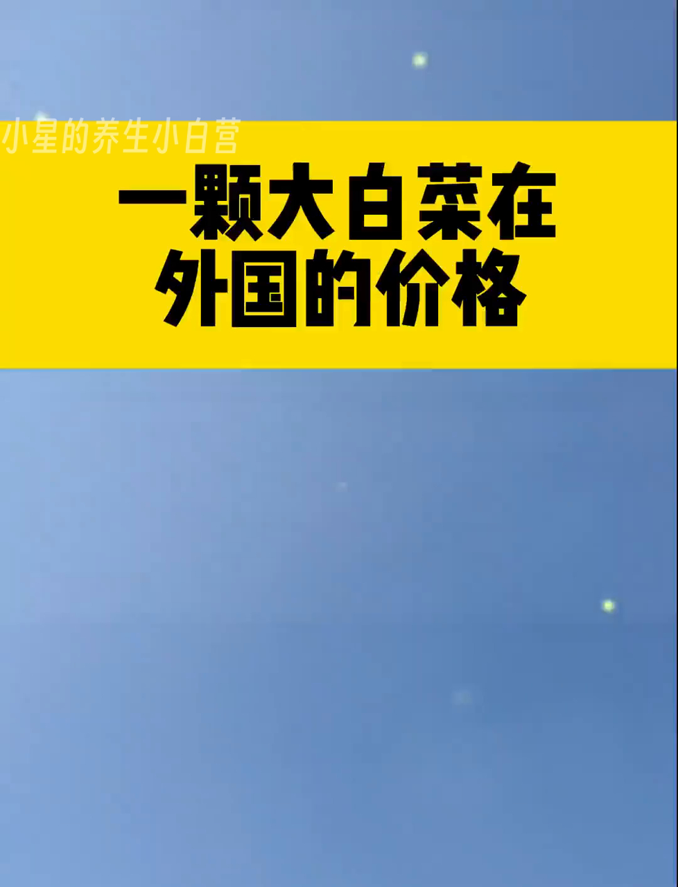 国外买棵大白菜得花多少钱?