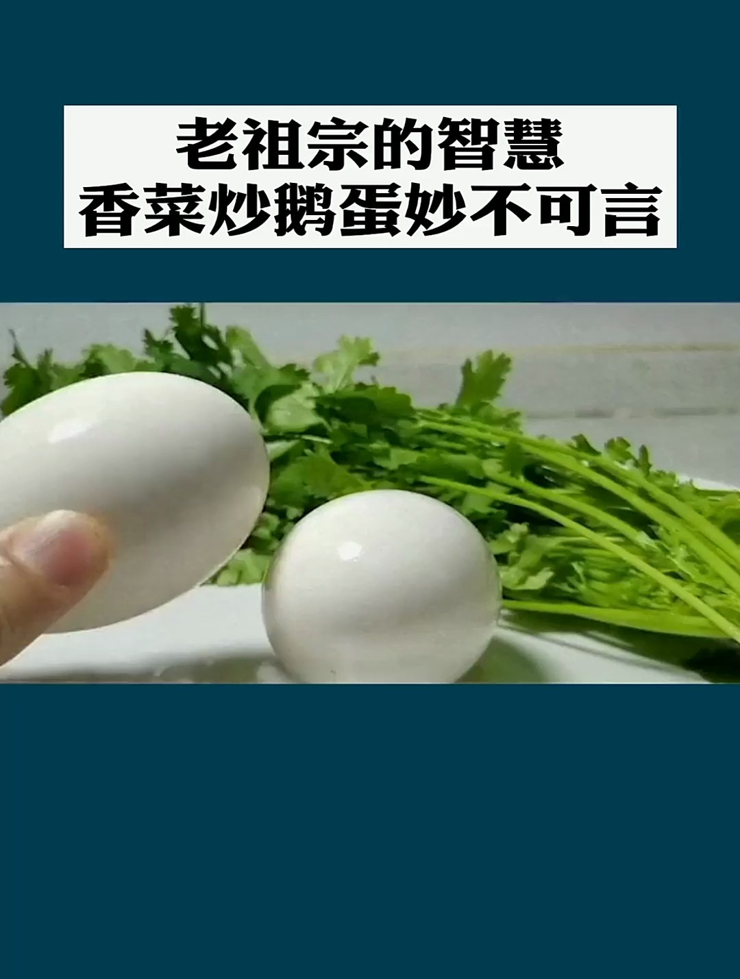 老祖宗的智慧,香菜炒鹅蛋妙不可言