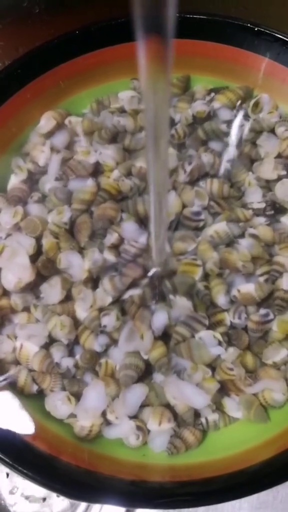 海螺丝用水洗干净,焯水放料酒去腥味焯水不要时间太长,记住这几