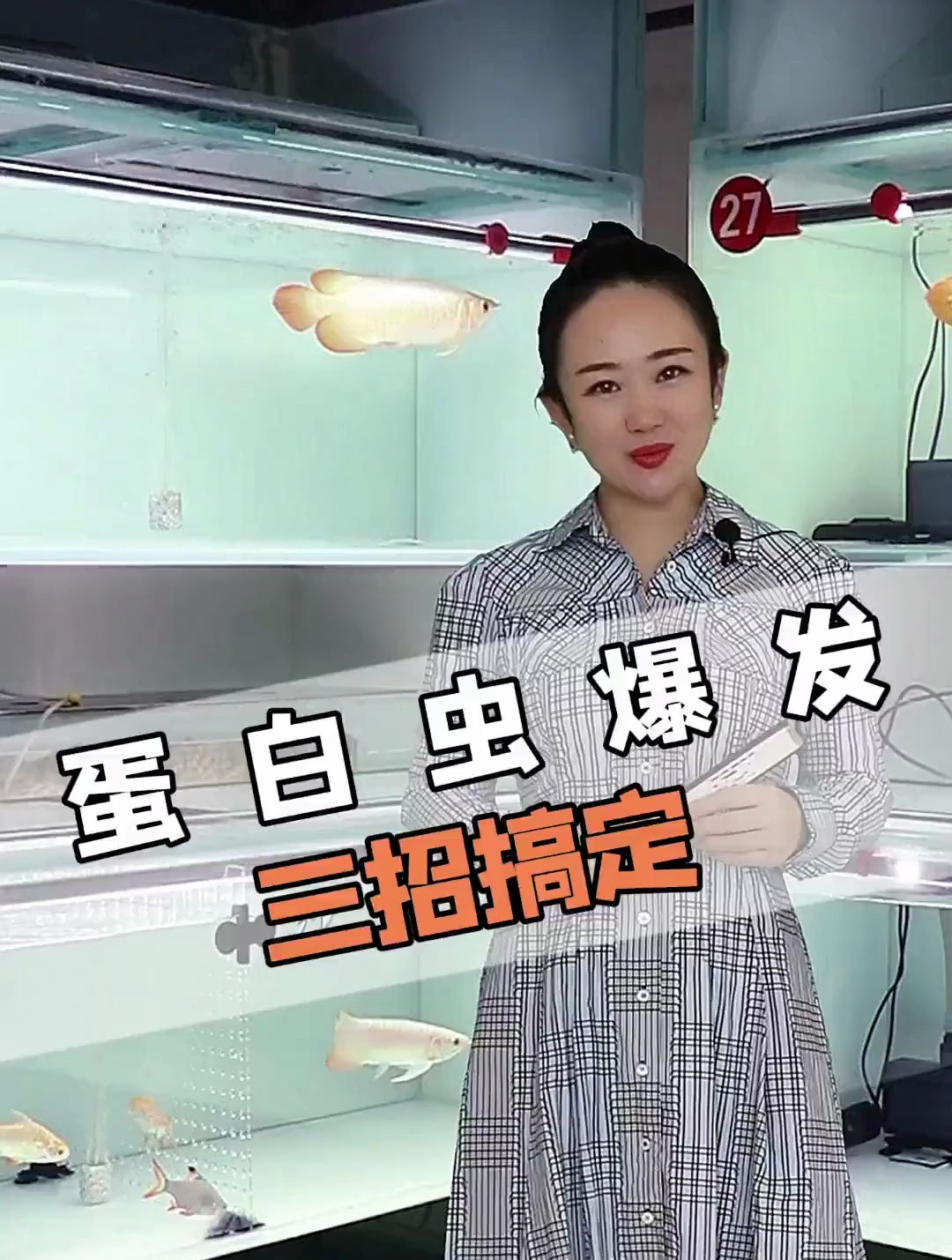 鱼缸蛋白虫爆发,教你3招搞定