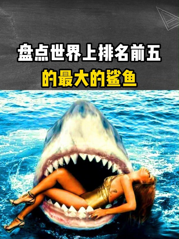 盘点世界上排名前五的最大的鲨鱼