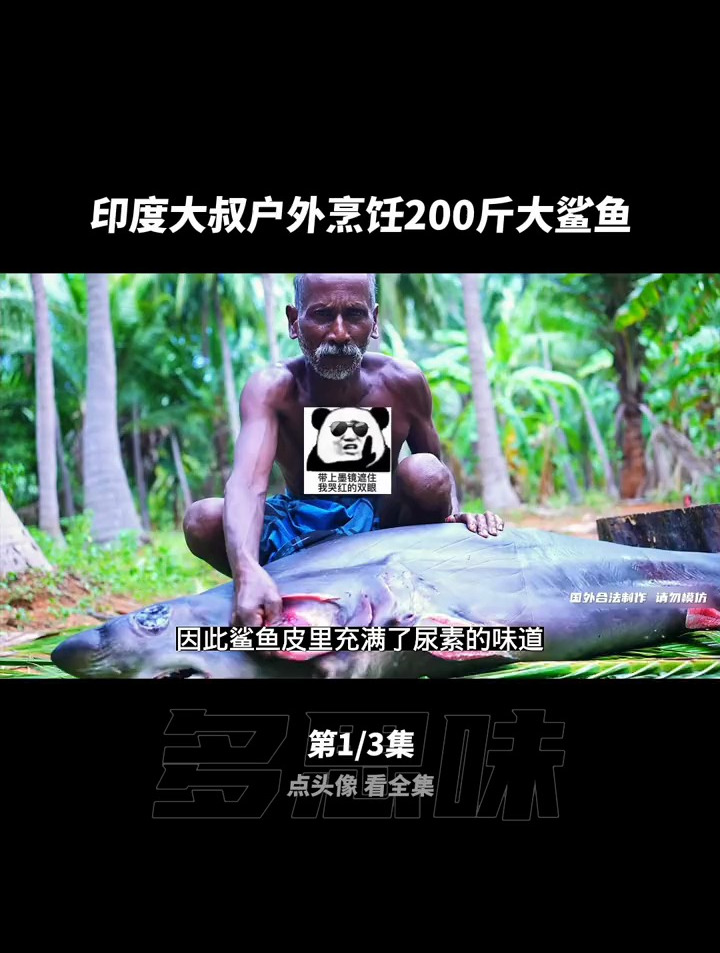 第一集 你吃过鲨鱼吗?