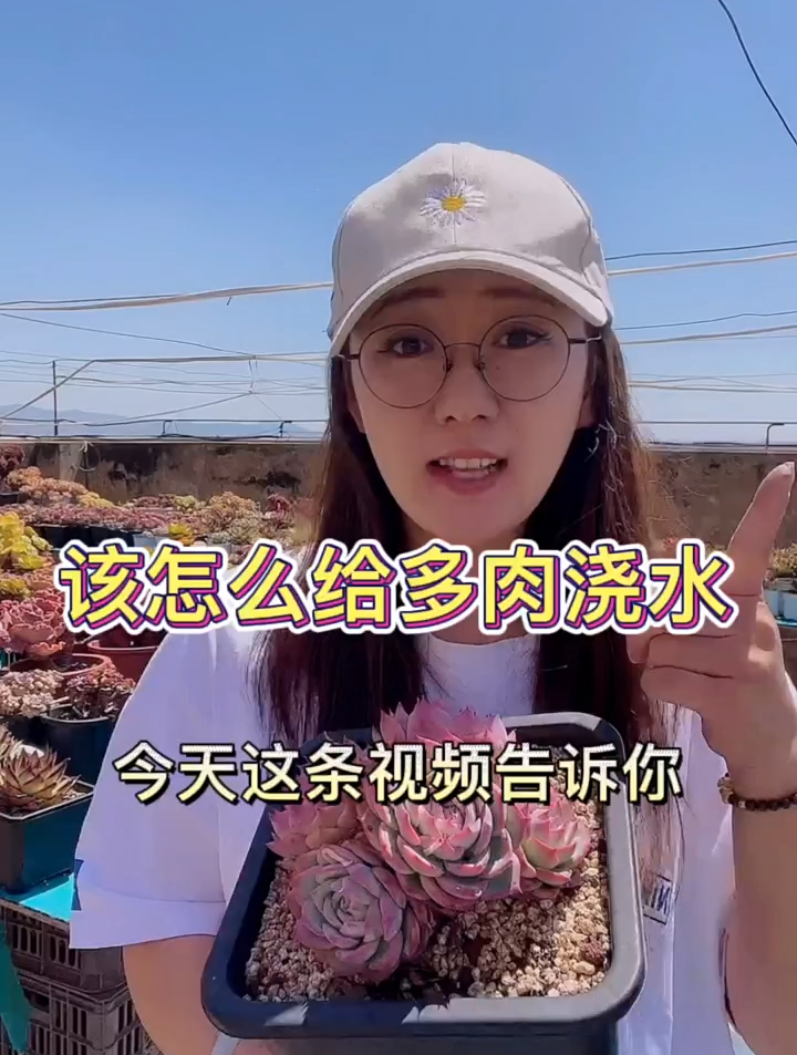怎么给多肉浇水,这个视频告诉你,你有没有觉得自己学会了呢