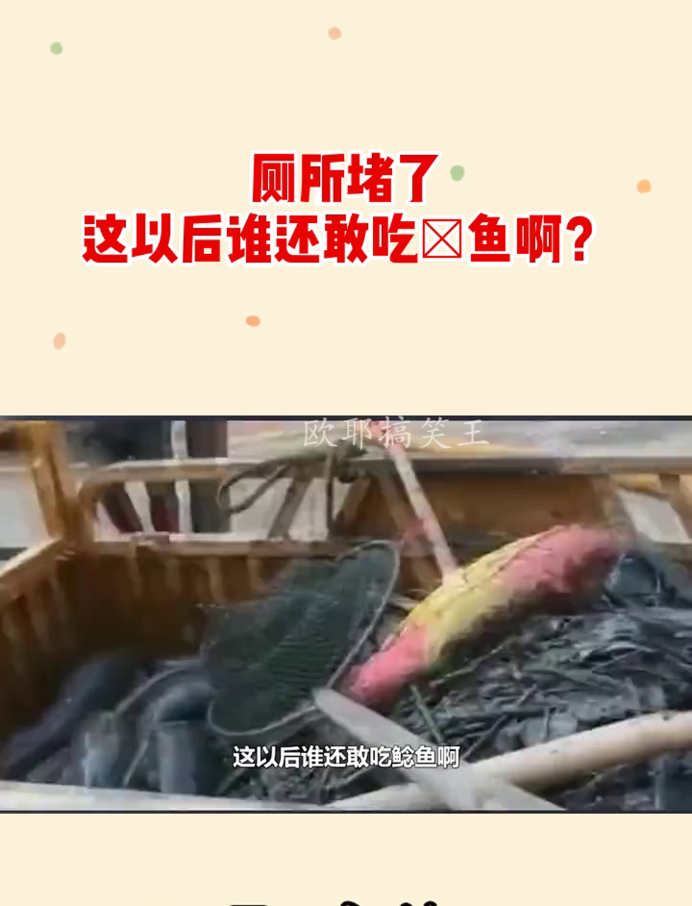 厕所堵了,这以后谁还敢吃鲶鱼啊?