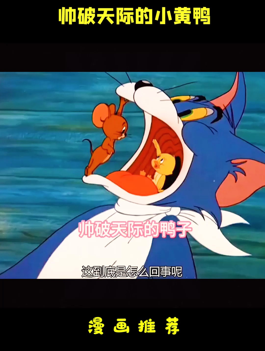 猫和老鼠动画片:帅破天际的小黄鸭