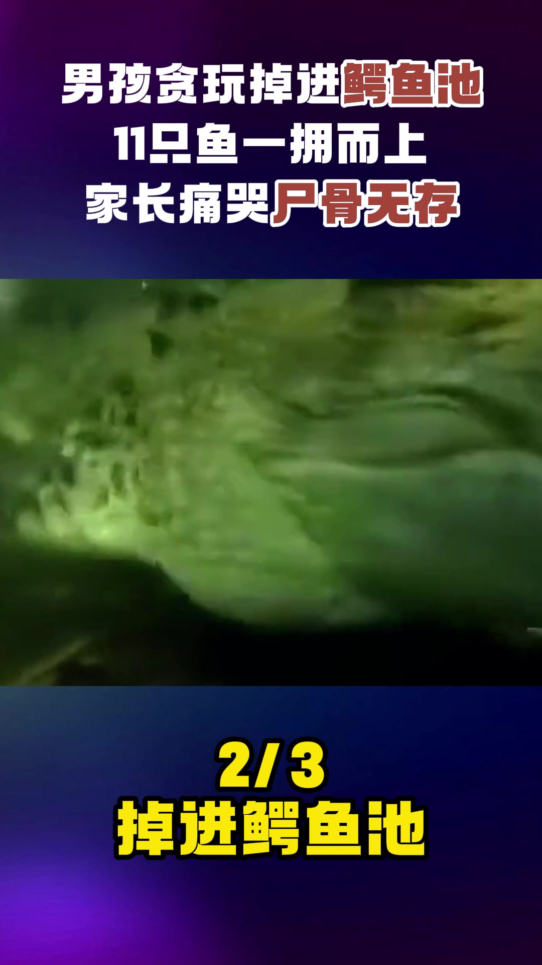 男孩贪玩掉进鳄鱼池,11只鱼一拥而上,家长痛哭尸骨无存