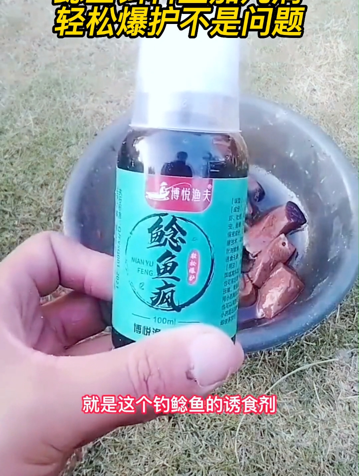 钓鲶鱼用什么饵料?盘点鲶鱼最喜欢的饵料,老钓友推荐!
