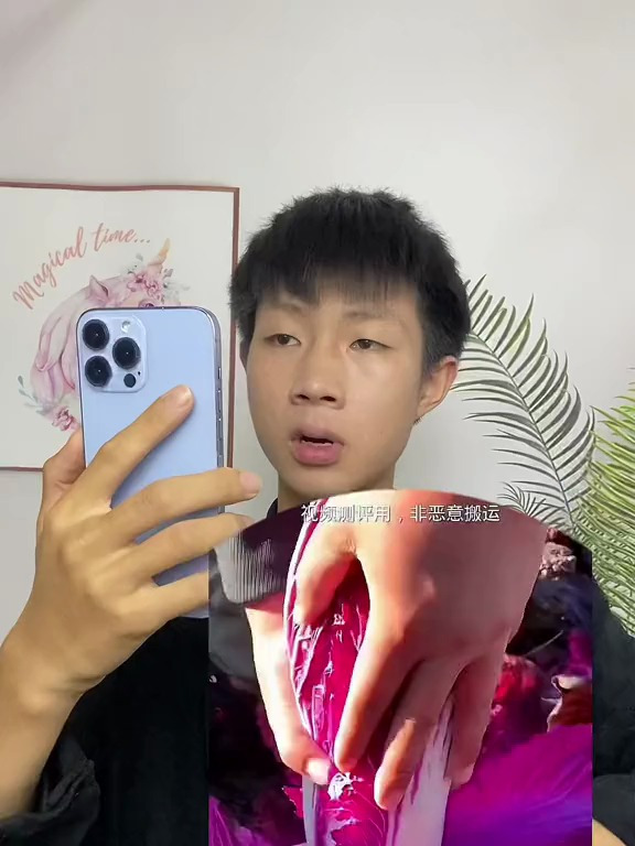 美食测评 紫色白菜真的能吃吗你们敢吃吗