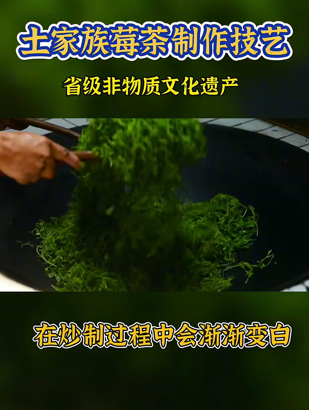 张建土家莓茶,中年人的最大福音