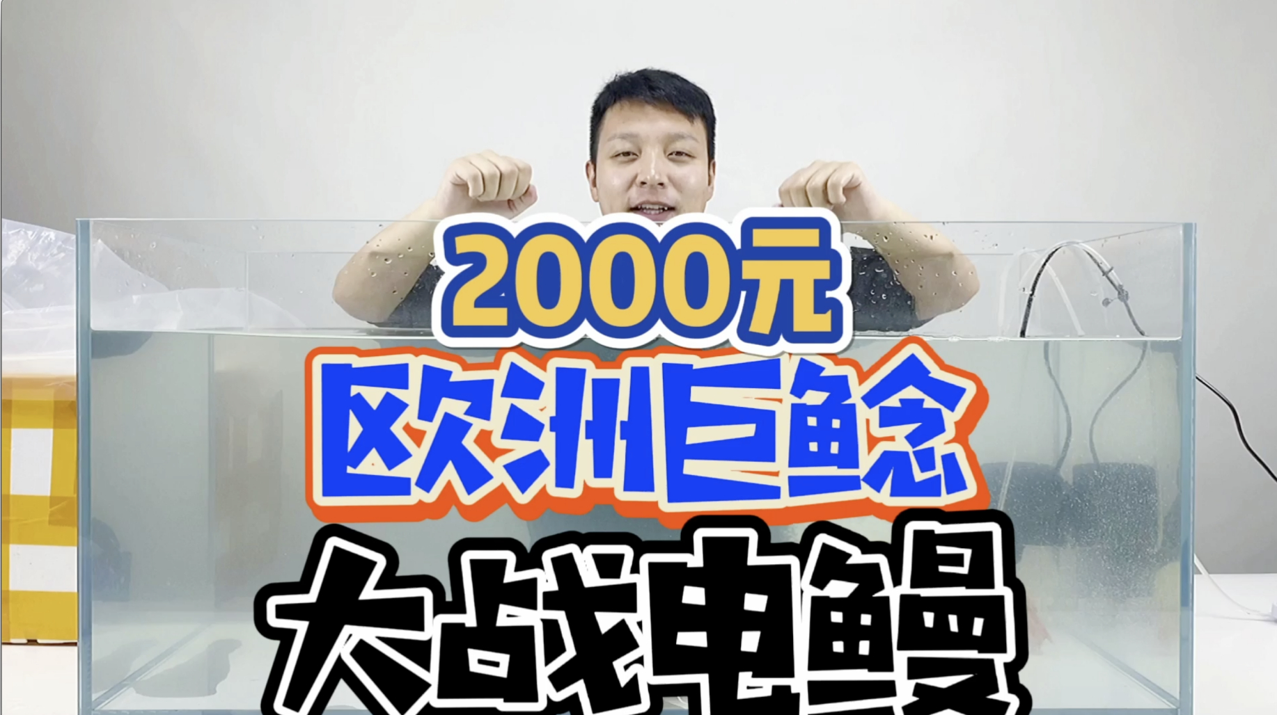 欧洲巨鲶大战亚马逊电鳗,谁才是真正的王者?