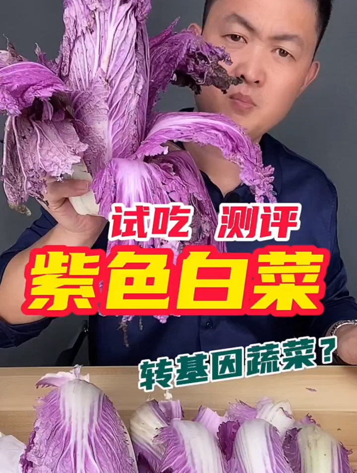 紫色白菜你见过吗?美食测评