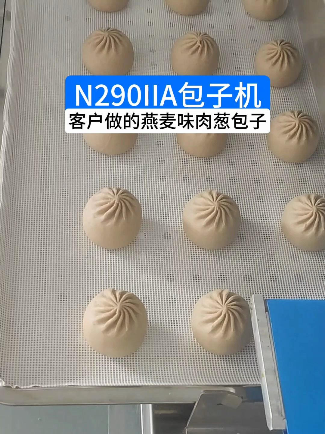 省时省力 大肉包 商用卷面式包子机,压面、成型、出馅一体化